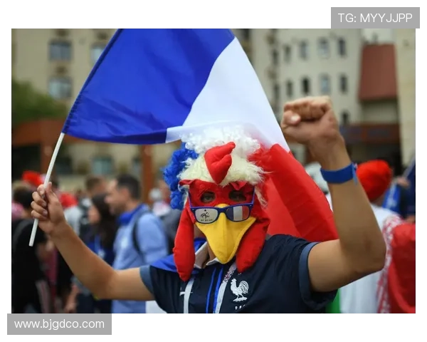 国家队勇夺世界杯冠军全场沸腾球迷欢呼见证历史性时刻度扬名世界