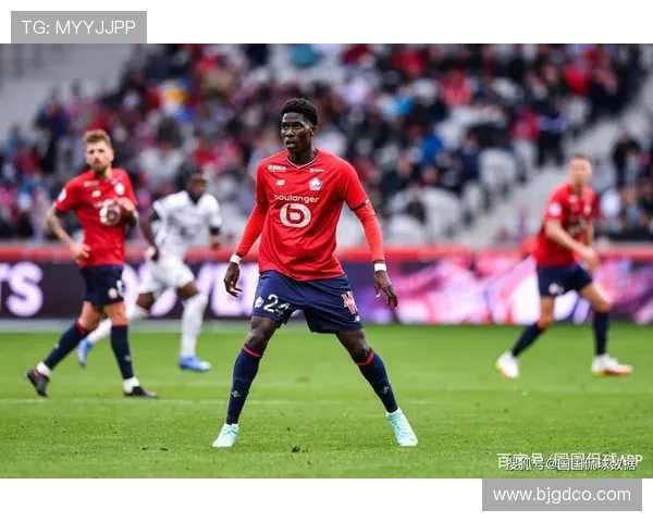 探秘法甲劲旅里尔俱乐部的崛起之路与辉煌历史传承